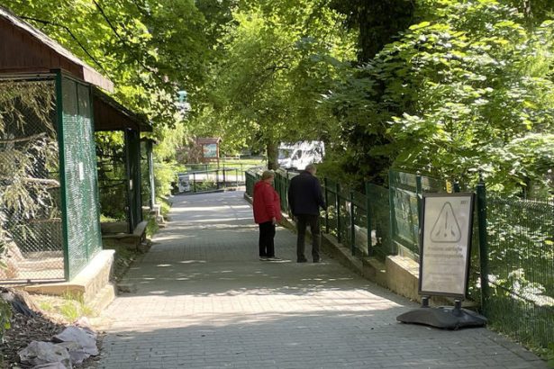 Bezohladne spravanie navstevnikov ZOO
