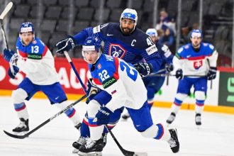 Cesta do NHL nie je aktualna Zastupca sa presuva do Ceska