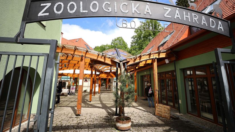 Preliezanie plotov stuchanie zvierat palistkami