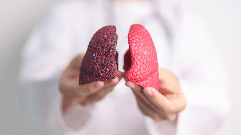 Organy vypestovane v laboratoriu minipluca su len zaciatok