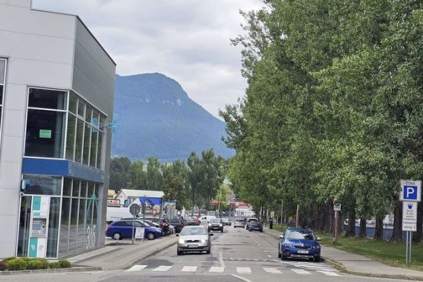 V Ruzomberku zmizla aleja topolov styridsat stromov vyrubali