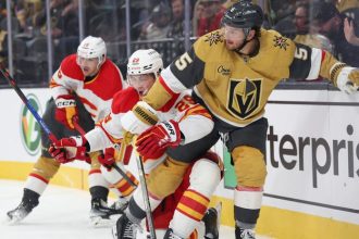 Honzek ziskal prvy bod v NHL nemec malo hral