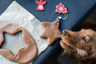 Ked sviatky koncia u veterinara psy najcastejsie jedlo otravi zo stola