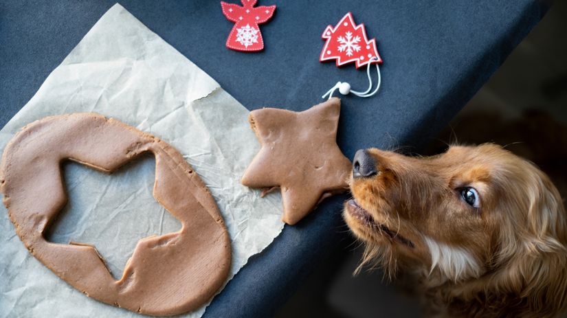 Ked sviatky koncia u veterinara psy najcastejsie jedlo otravi zo stola