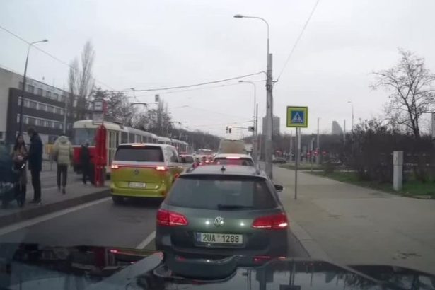 VIDEO Uzasnuti policajti odlepili muza z elektricky