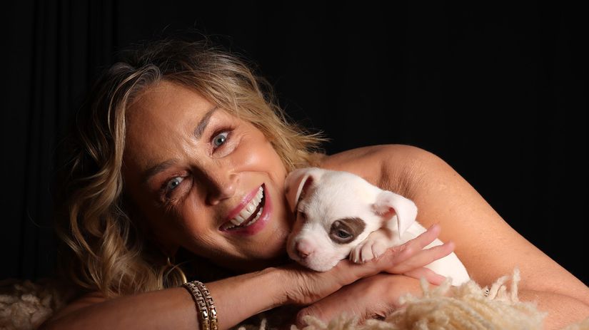 Kto si to sem do pekla sadol Sharon Stone nespoznali a vulgarne ju urazili Herceka im to spocitala drsnou lekciou o slave