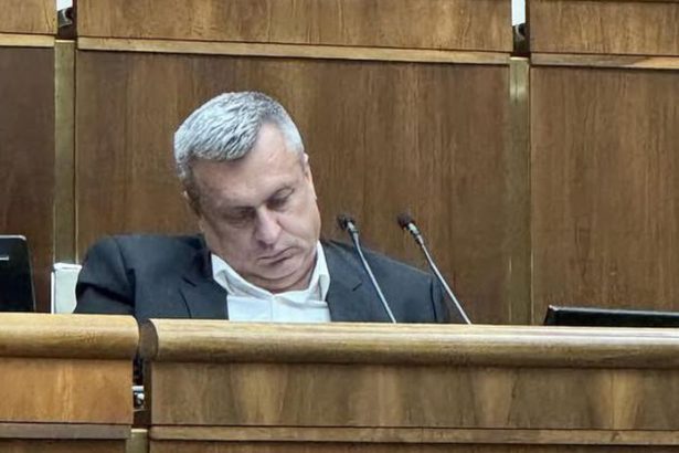 Danko vs Tanko a kauza slofik v parlamente Pripravte si 100 tisic eur odkazal sef SNS poslancovi PS