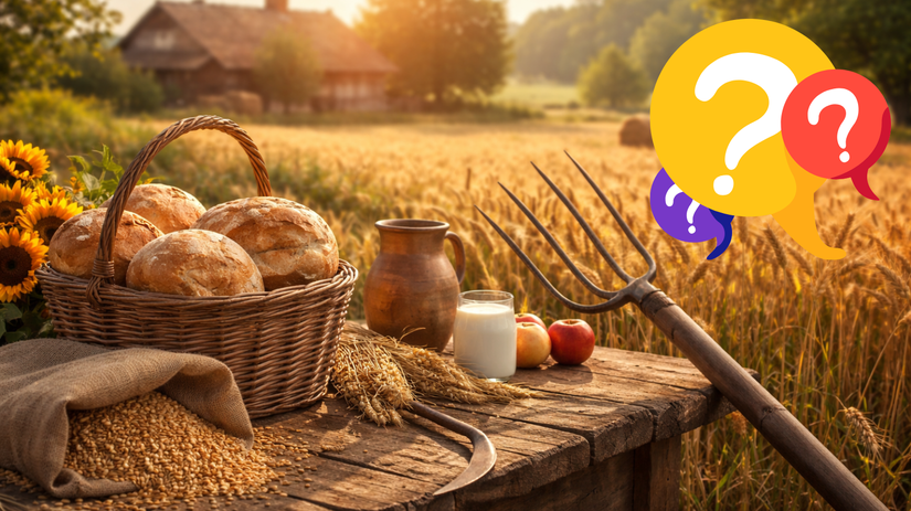KVIZ Tieto prislovia poznali nasi stari rodicia Kolko z nich zvladnete vy
