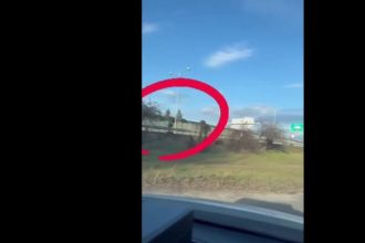 VIDEO Veselo po dialnici Policajti na D1 zachranovali zivot riskujuceho kolobezkara