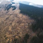 My sme les upozornuje na vyrub stromov v biotope hluchana v TANAP e hrozia Slovensku sankcie