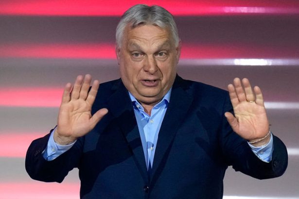 Politicke znasilnovanie ekonomiky nefunguje ani v Madarsku ani u nas