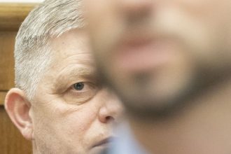 Politolog Progresivci sa snazia kauzu matky Simecky nechat vyhnot A Matovic Brutus kazdej koalicie