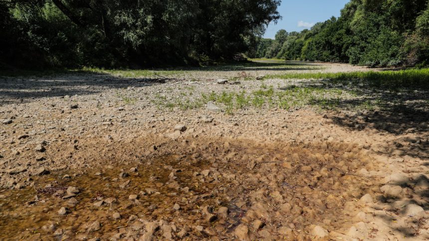 Klimatolog o suchu na Slovensku Prechadzame z extremu do extremu Moze sa to este zhorsit rozhovor