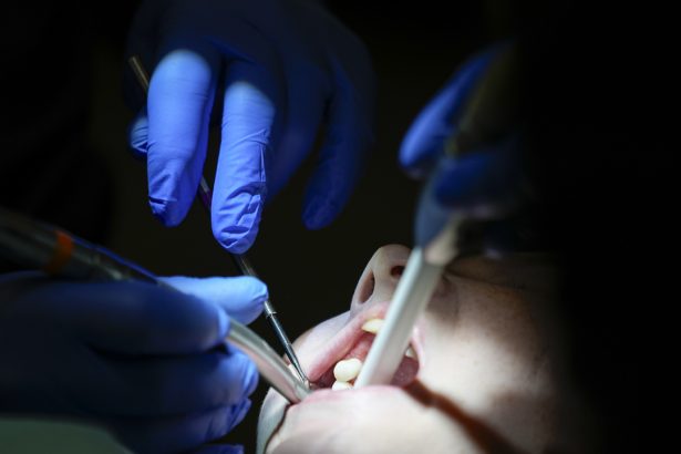Ziadne korunky ani implantaty Vedci chcu prinutit telo aby si samo vypestovalo nove zuby