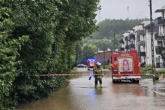 Extrémne počasie v USA: Ničivý živel vyhnal morského dravca do ulíc medzi ľudí