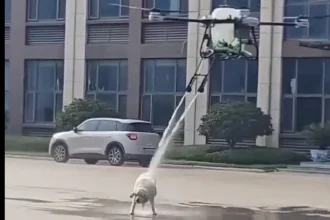 VIDEO: Dron na čistenie solárnych panelov osprchoval v Číne na ulici psa