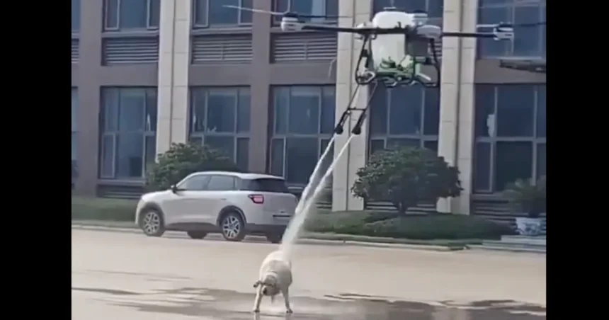 VIDEO: Dron na čistenie solárnych panelov osprchoval v Číne na ulici psa