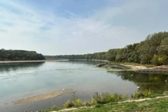 Dunaj pri Devíne odkryl vzácny nález: časť pamiatky zničenej pred 105 rokmi