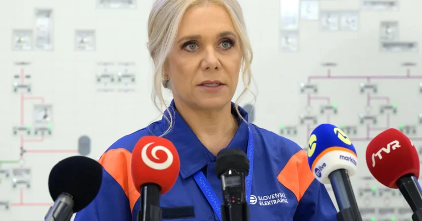 Saková prezradila cenu elektriny na rok 2027, vláda chce ešte vyjednávať