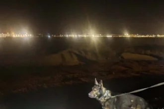 Vo vlaku si všimla plačúceho mladíka. Jediným telefonátom ukončila veľké pátranie